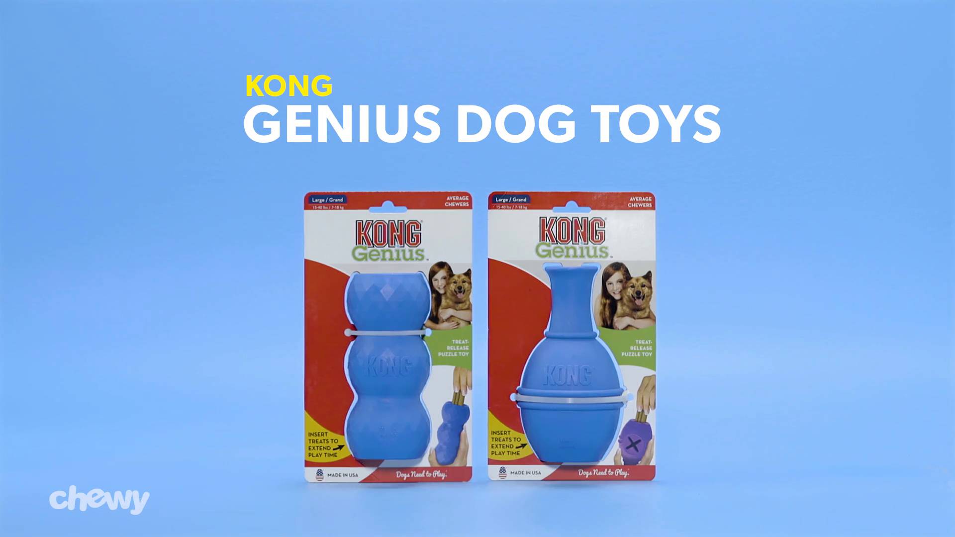 kong genius toys