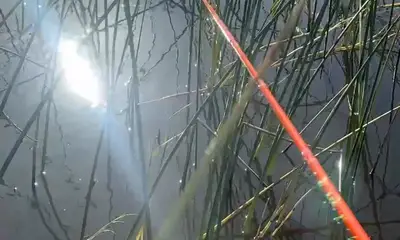 Clewiston Report Video 0