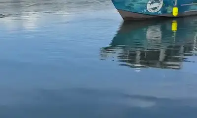 Washington Coast Report Video 2