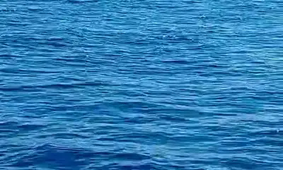 Quepos Report Video 1