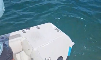 amazing trip with captain Bill