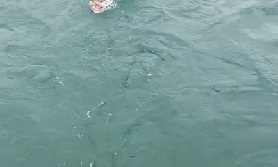 Erie Report Video 1