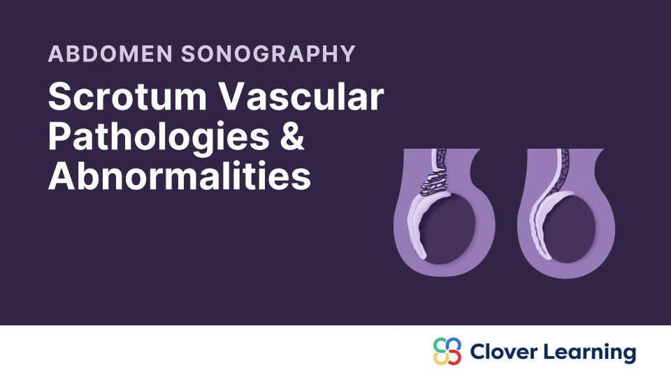 Abdomen Sonography: Scrotum Vascular Pathologies and Abnormalities ...