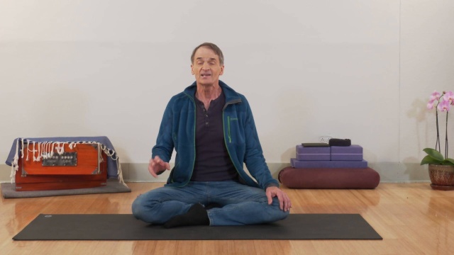 Yoga Sequencing (Mark Stephens)