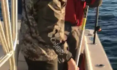 Destin Report Video 0