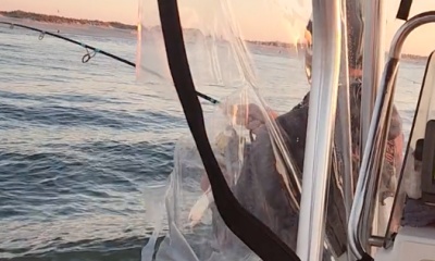 Mastic Report Video 3