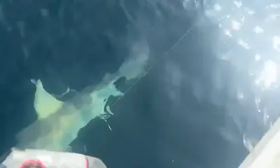 Choctawhatchee Bay Report Video 2