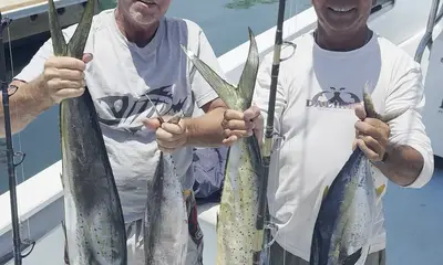 San Jose del Cabo Report Video 2
