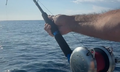 Budva Report Video 2