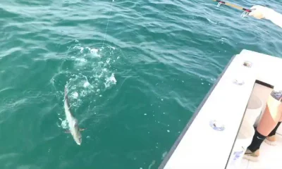 Anna Maria Report Video 0