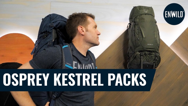 best wheeled duffel bags for international travel The 12 Best Rolling Duffel Bags of 2026, Tested and Reviewed