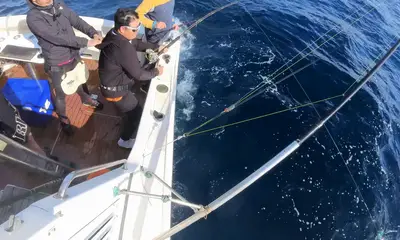 Mid North Coast Report Video 2