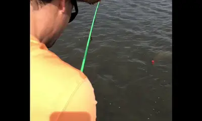 Cedar Key Report Video 0