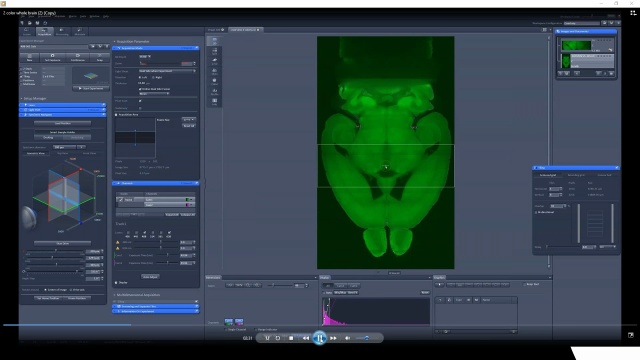 Unlock Large-Scale Imaging with Light Sheet Microscopy