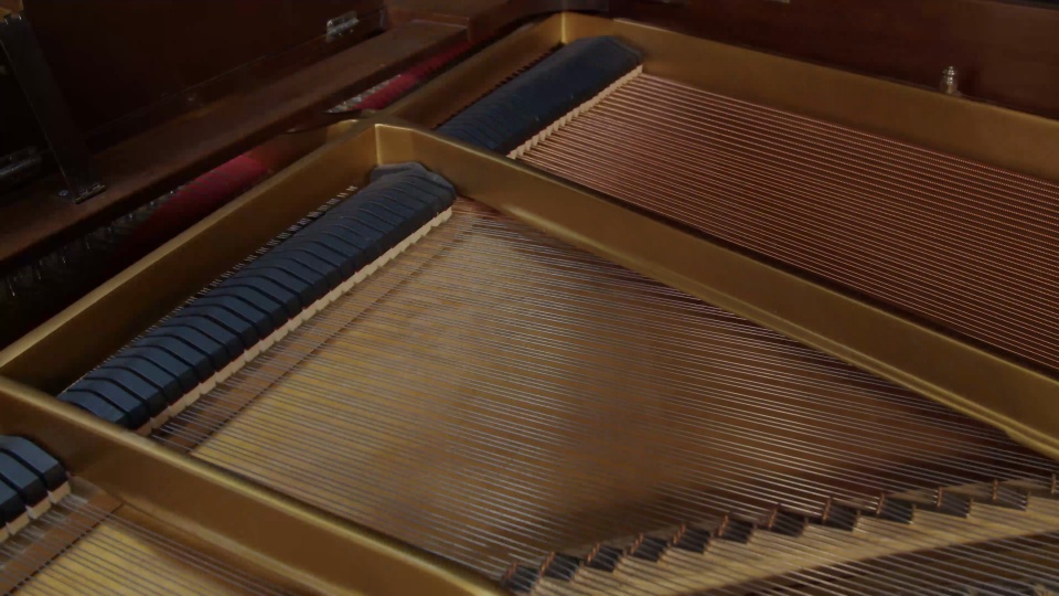 2006 Steinway Grand M
