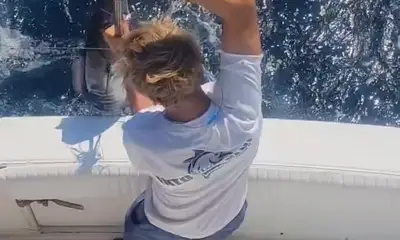 Harborwalk Marina Report Video 2