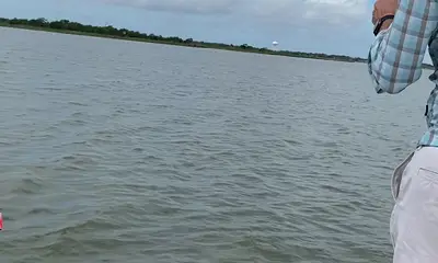 Texas City Report Video 2