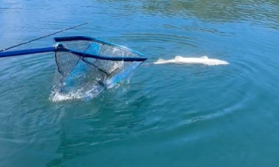 Best ever fishing experience, great guy, Conner is very friendly and a great captain. Highly recommend!
