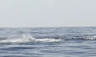 Excellent Fishing Trip Lots of Action