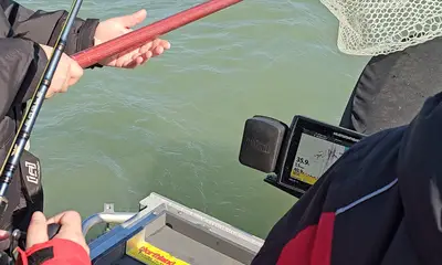Lakeside Marblehead Report Video 0
