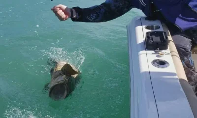 Melbourne Beach Report Video 0