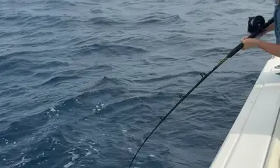 Pinellas County Report Video 1