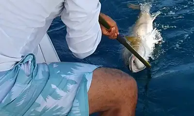 Panama City Report Video 1