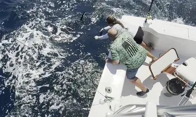 Amazing Day on the Lucky Dog