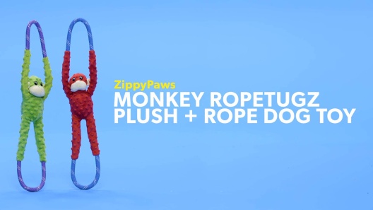 Monkey RopeTugz® Green