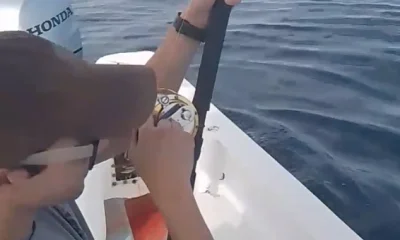 San Jose del Cabo Report Video 0