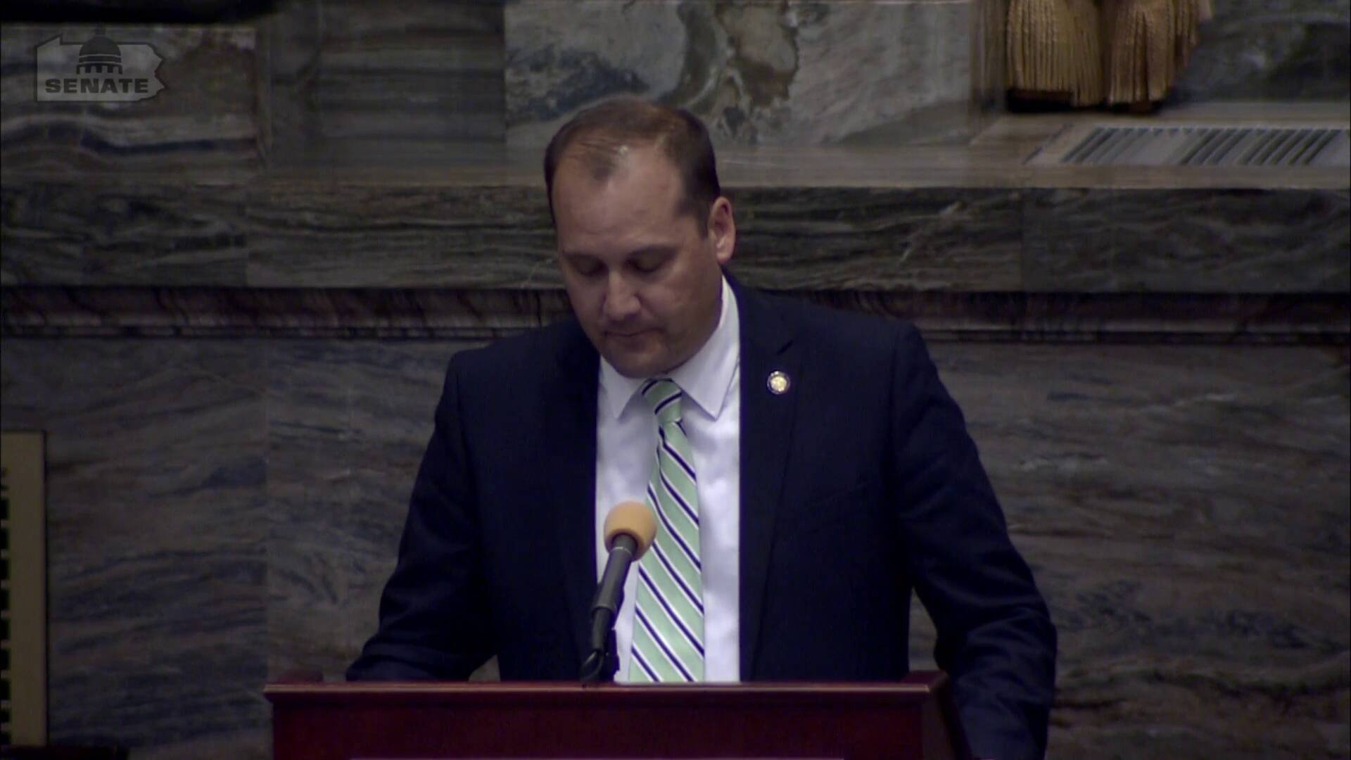 7/15/20 - Senate Bill 1166