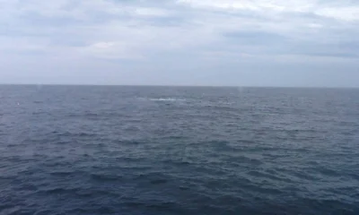 Montauk Report Video 0