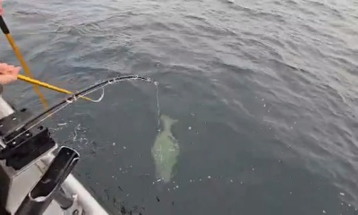 Best Fishing EVER!