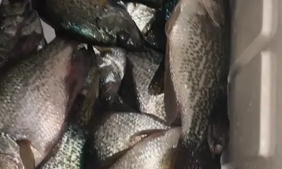 Clewiston Report Video 2