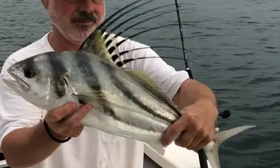 Puerto Vallarta Report Video 0