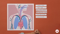 Lesson image