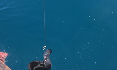 5 hour trip with captain Arthur Venancio and his crew
