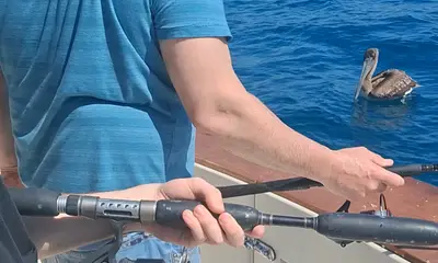 Dana Point Report Video 0