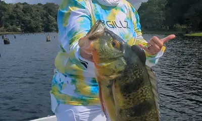 Gamboa Report Video 2