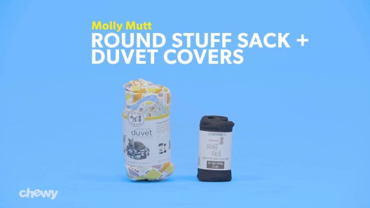 Play Video: Learn More About Molly Mutt From Our Team of Experts