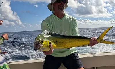 Cancún Report Video 2