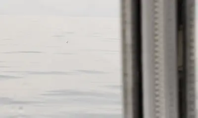 California Report Video 1
