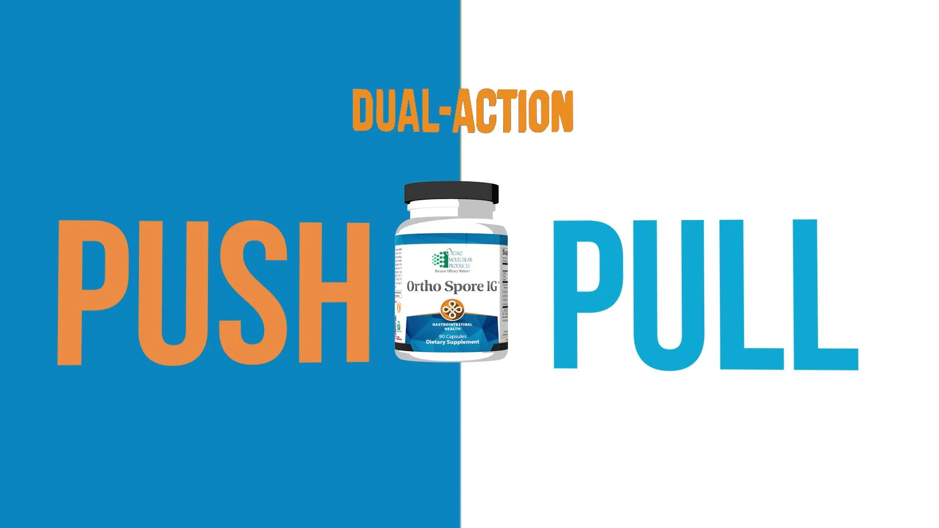 Ortho Spore IG - Spore Based Probiotic Supplement | Ortho