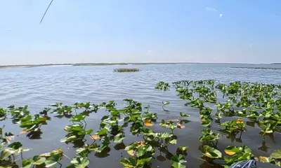 Lake Wales Report Video 0