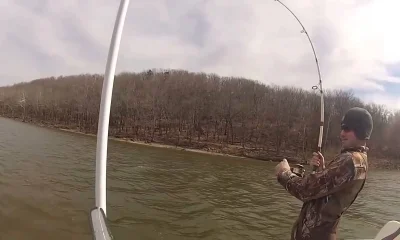 Sperry Report Video 0