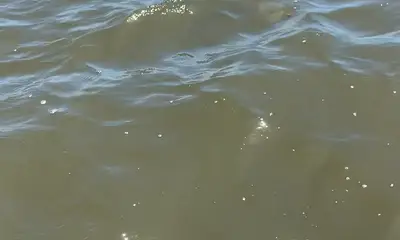 Wilmington Report Video 1