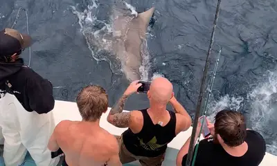 Boynton Beach Report Video 0