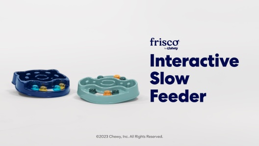 FRISCO Interactive Dog & Cat Slow Feeder Bowl, Beacon Blue Combo