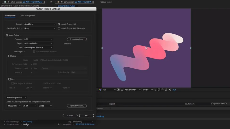How to export images and video from Cinema 4D Lite