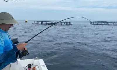 Wahoo, Woohoo!!
